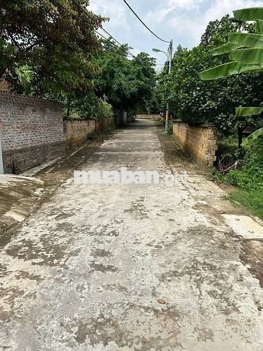 Giá *** Thị Trường: Lô Đất 50m² Full Thổ Tại Sơn Tây Chỉ 1,87 Tỷ!