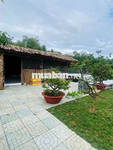 CẦN BÁN NHÀ VƯỜN NGHĨ DƯỠNG 1200M²,1VƯỜN TRÁI CÂY, AO CÁ. Ô TÔ TỚi