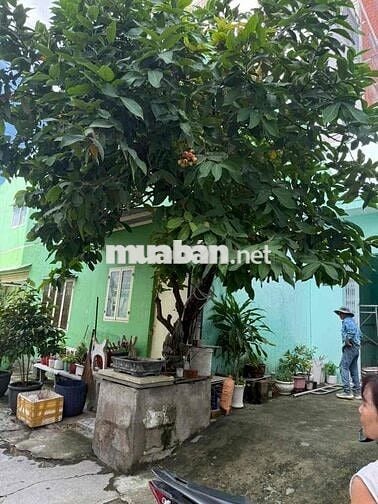 ♻️nhà thuê ♻️8tr ✅4x21 ❤️nhà thuê Bùi tư toàn an lạc bình Tân. Nhà 1