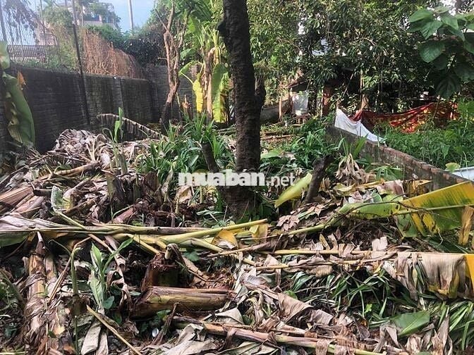 Đất 90m2 ngang 4,5m dài 20m Vân Tra, An Đồng giá 2,65 tỷ đồng