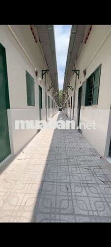 🔥 CHỦ NGỘP BANK RA GẤP: DÃY TRỌ 16 PHÒNG - SHR🔥