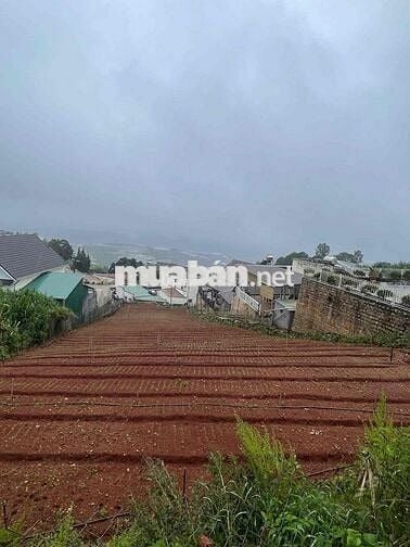 Chính Chủ Cần Tiền Bán Lỗ Mảnh Đất 1270m2 Xuân Thọ Đà Lạt