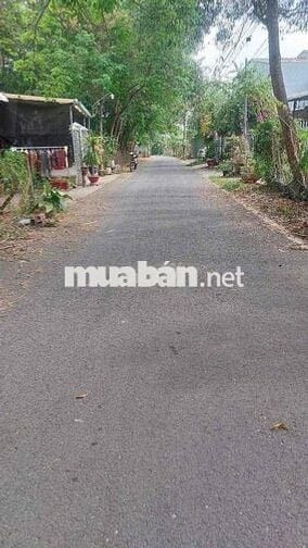 CHÍNH CHỦ NGỘP NGÂN HÀNG CẦN BÁN LÔ ĐẤT SỔ RIÊNG MẶT TIỀN