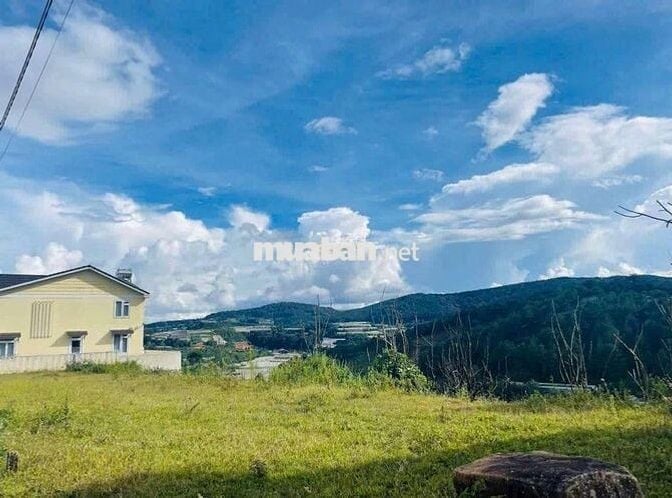 211m² Đất full thổ cư view rừng thông vĩnh viễn, xây villa nghỉ dưỡng