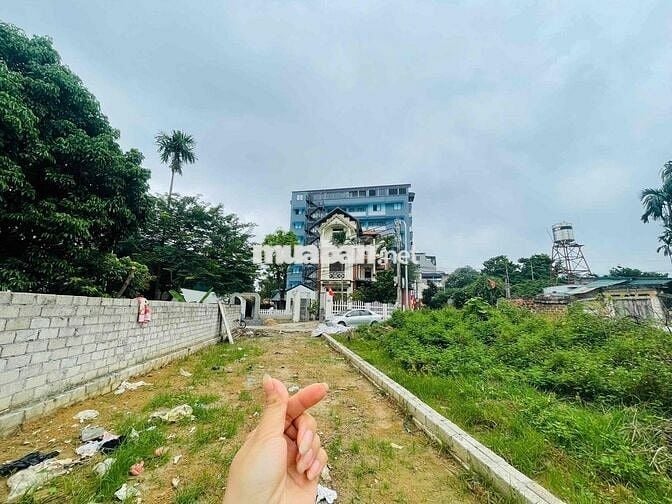 Đất dân cắt bán 136m thôn 2 Tân Xã trục chính full thổ cư vuông đẹp