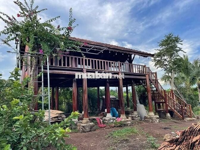 🌿 Sở hữu ngay vườn trái cây sinh thái kề Long Khánh, chỉ 980TR/1000m²
