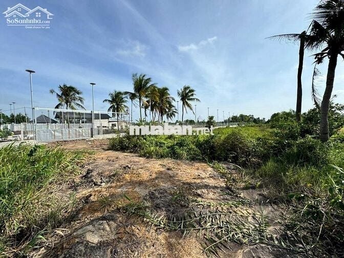 CHÍNH CHỦ BÁN 1759m2 ĐẤT THỔ CƯ MẶT TIỀN SÔNG VÀM CỎ ĐÔNG