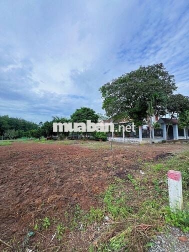 Chính chủ cần bán đất tại An Linh, Phú Giáo, 500m2(10x50), 800 triệu