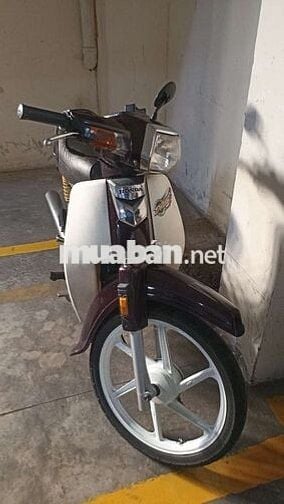 Sp208, 9chủ bstp