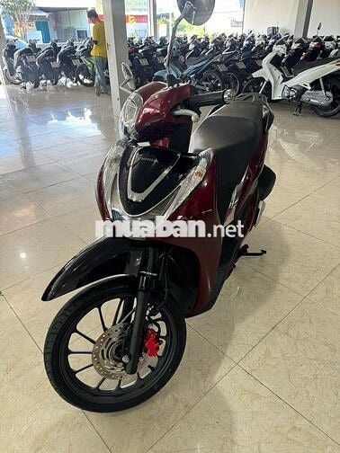 Shmode 2021 abs
