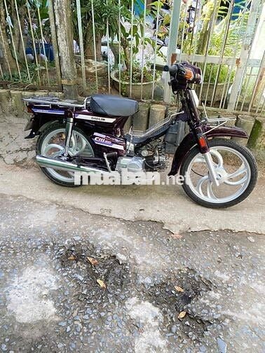 CITi Daelim ( bs 65 xe đẹp)
