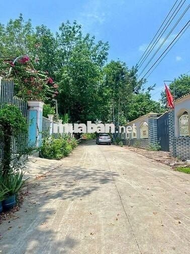 Đất sát Trường  Tân Hiệp Phú Giáo Hồ Chí Minh giá 550tr /420m2 sổ sẳn
