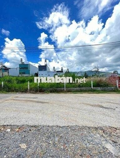 Bán gấp 1ty2 đất thổ cư 116m2 mặt tiền Dương Đình Cúc, Bình Chánh. shr