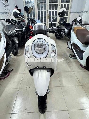 Scoopy 2024 Trắng Xe Nhập indo