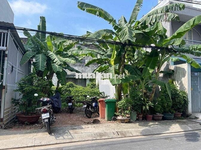 🌺🌺Cần bán nền đất đường nhựa 7m - KDC Nam Hùng Vương- phường An lạc  💰