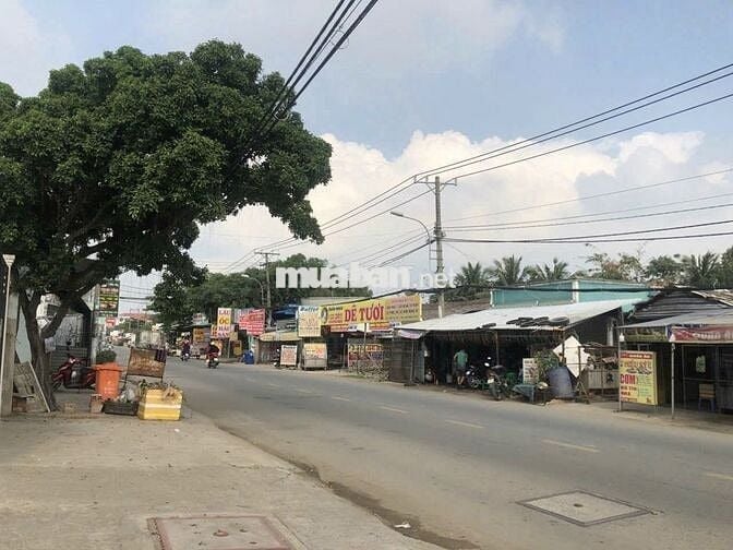 Gđ cần bán lô đất 250m2 đường Đoàn Nguyễn Tuấn - Hưng Long, BC, sổ sẵn