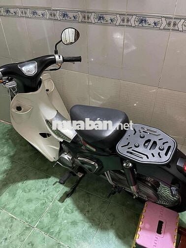 XE CUB CLASIC