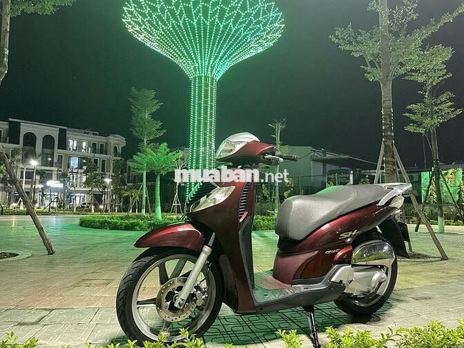Sh 150 mận chín