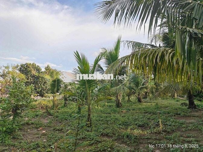 BÁN NHÀ VÀ ĐẤT NGHỈ DƯỠNG Ở BÊN TRE