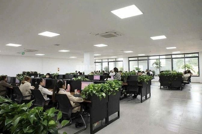 Nhân Viên Tư Vấn Dịch Vụ Viettel Giờ Hành Chính Tân Bình Hồ Chí Minh