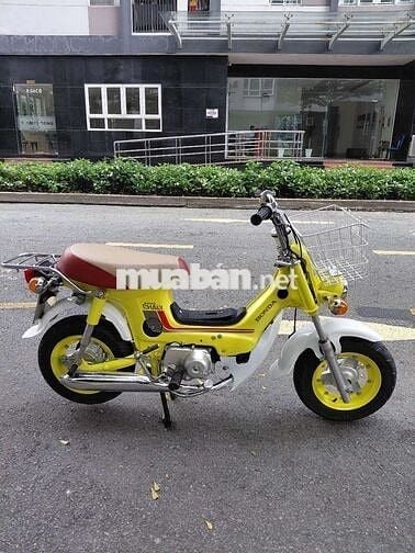 Chaly nhật 50cc tuyệt đẹp
