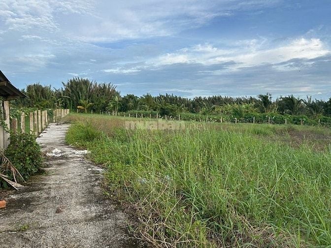 Đất vườn ven sông Tầm Vu, Long An rẻ đẹp