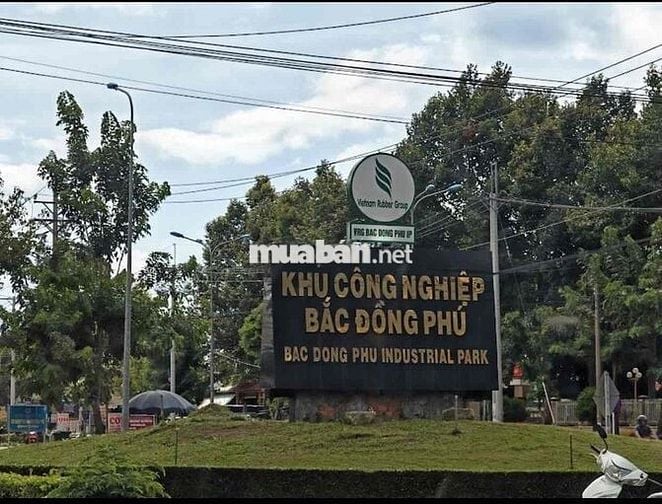 Đất ngay khu công nghiệp Bắc Đồng Phú B giá rẻ tiềm năng cao