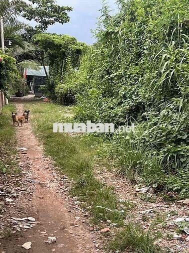ĐẤT NÔNG NGHIỆP ĐẸP 1100M2, HẺM OTO 1942 HUỲNH TẤN PHÁT, CHỈ 5Tr/M2
