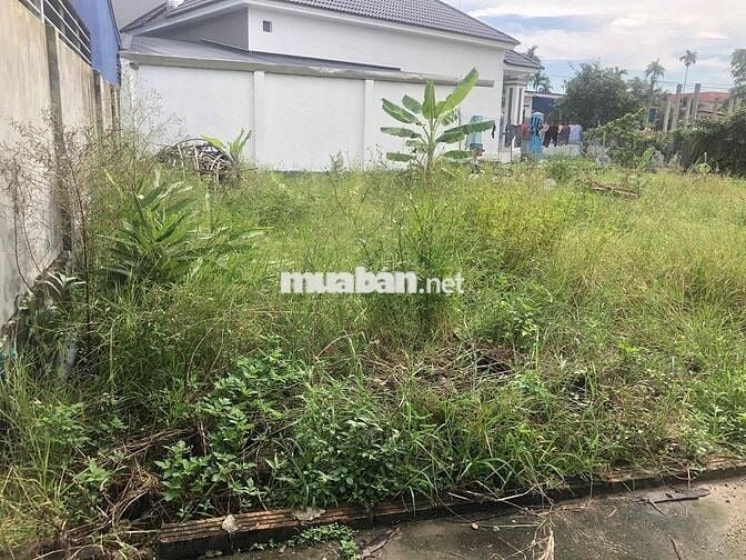 Đất 68m2 ngang 5m Thôn 2 Bắc Sơn, An Dương giá 1,57 tỷ đồng