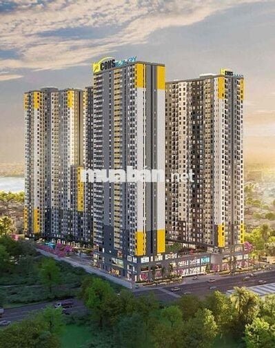 BCONS SOLARY – KHÔNG GIAN SỐNG HIỆN ĐẠI, VỊ TRÍ VÀNG TẠI TÂN ĐÔNG HIỆP