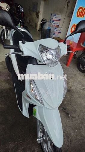 Shark 50cc