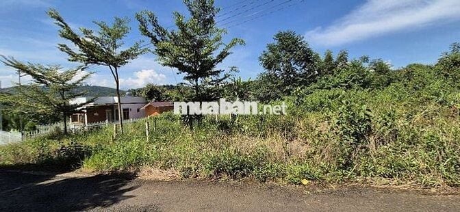 ĐÁT NỀN GIÁ NGỘP MẶT TIỀN THÔN 3 TÂN LẠC