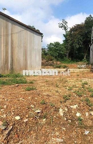 Chính Chủ Bán 200m2 Đất Mặt Tiền Đường