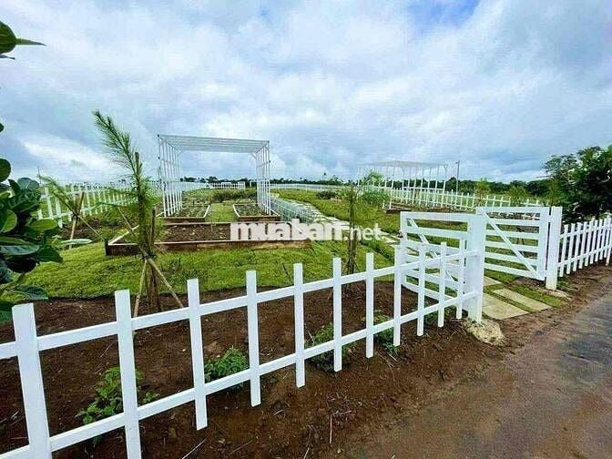 Đất thổ cư ngay ngã 3 cây xăng Liên Nghĩa,QL20 đi vào,Sổ Hồng Riêng.