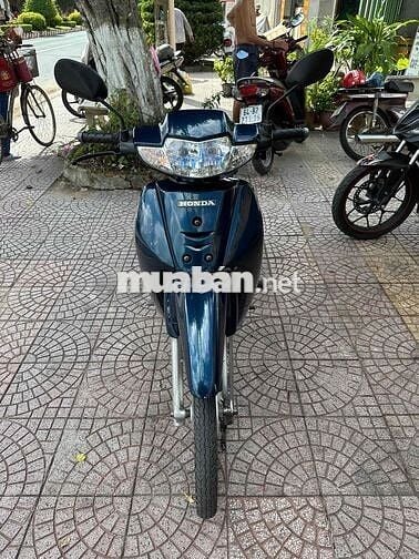 anpha lốc đen cop vĩnh long