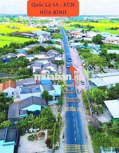 Siêu phẩm, 1000m2 đất mặt tiền xe cont 833 chỉ 3 tỷ