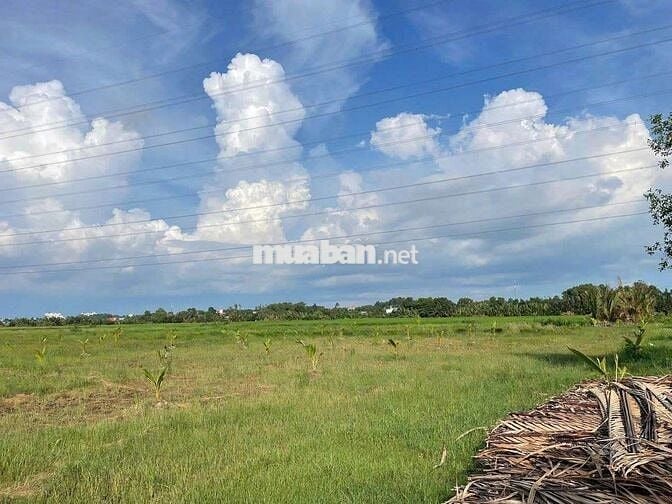 BÁN ĐẤT LỚN – XÃ PHÚ ĐÔNG, HUYỆN NHƠN TRẠCH, ĐỒNG
