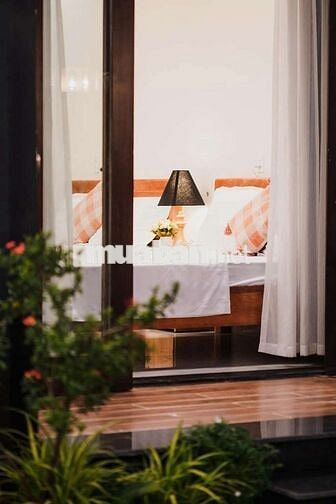 🏡 CHO THUÊ NHÀ SÂN VƯỜN RỘNG SAU LƯNG GOLDBAY, SƠN TRÀ, ĐÀ NẴNG