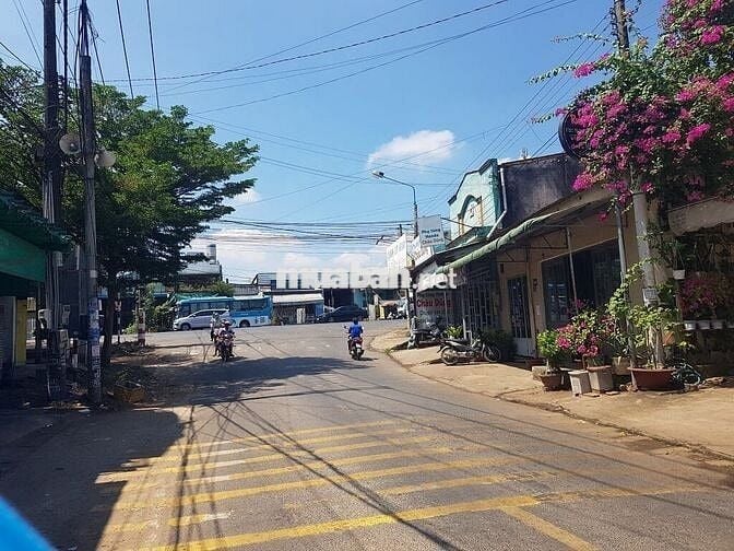 Đất 260m2 Hưng Long-Bình Chánh-đường Đoàn Nguyễn Tuấn - 1Tỷ290tr