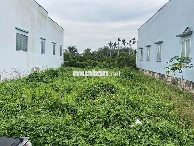 Sang gấp đất 10m x 20m xã Thạnh Hoà, Bến Lức. Sổ hồng riêng