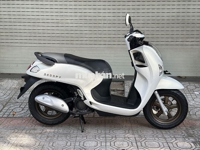 Scoopy 2025 - New 100%