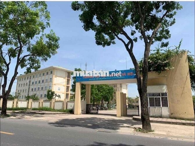 Bán Đất – [GIÁ CỰC SỐC ]-Đại Học Thủ Đô-Gần KCN,Sân Bay NB -Thông ÔTô-