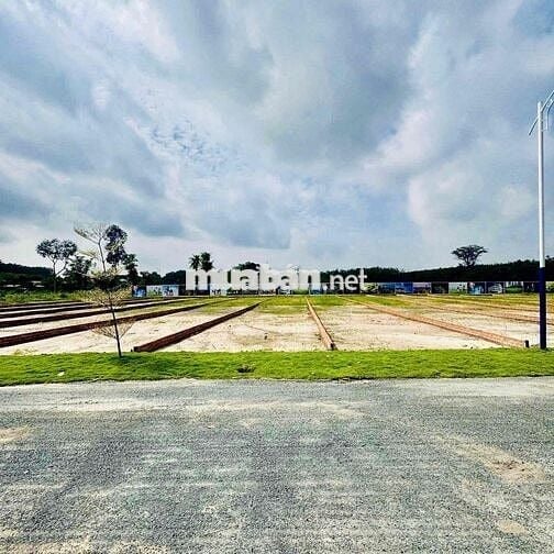 Ngộp bán gấp 300m2 - Sẵn thổ cư - xây dựng tự do - Cách chợ 400m
