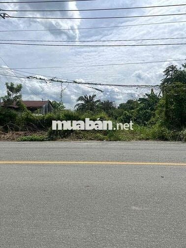 Lô Đất Mặt Tiền BA SA, Phước Hiệp, Củ Chi DT 213m2 Giá 670tr