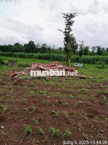 BÁN ĐẤT NỀN GIÁ RẺ – XÃ LÂM SAN, HUYỆN CẨM MỸ, ĐỒNG NAI 🌳