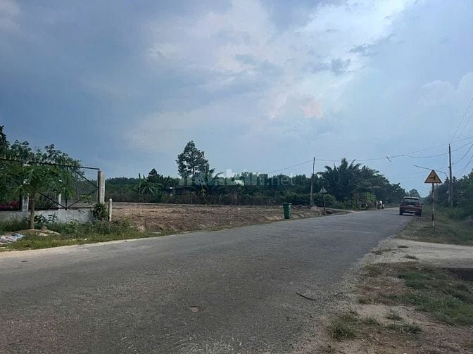 Bán đất tại Dầu Tiếng - Bình Dương 250m2 đường nhựa giá chỉ 290 Triệu