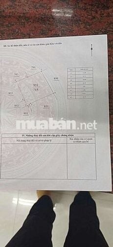 Diện tích 715m², đất trồng cây hàng năm,sổ hồng riêng, pháp lý rõ ràng