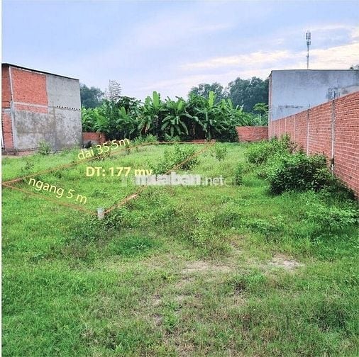 Bán đất đường Lục Viên, Đức Lập Hạ, Đức Hòa, LA, 1,5 tỷ, thổ cư: 177m2