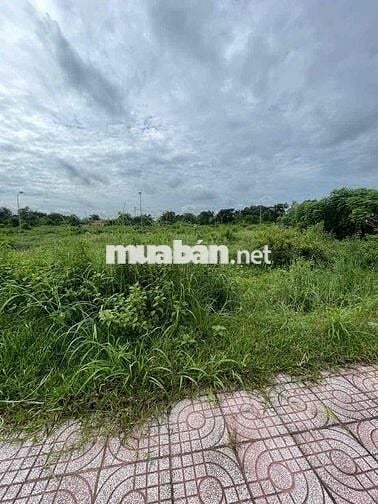 Gấp Lô Đất Hồ Văn Tắng, Tân Phú Trung DT 113m2 Giá 650tr