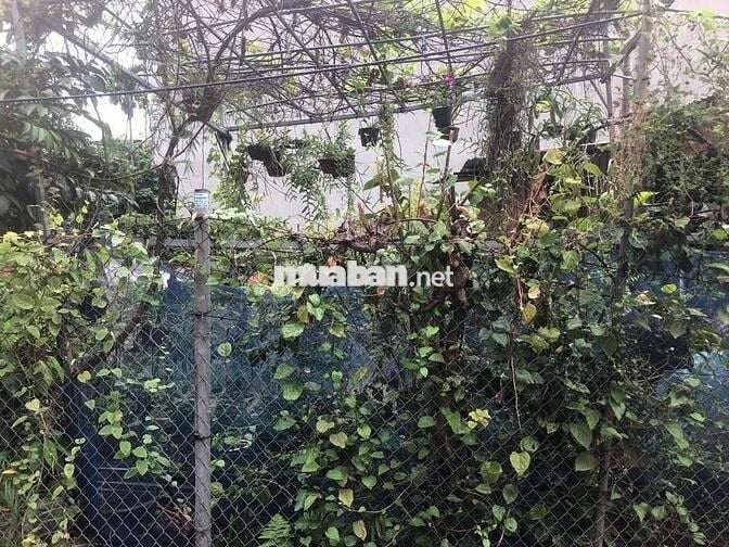 Đất 60m2 HXH gần chợ Minh Kha, Đặng Cương, An Dương 1,7 tỷ